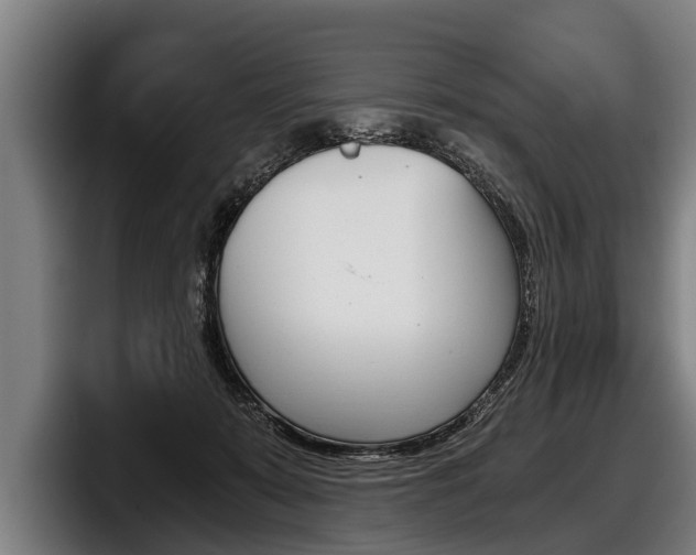 X0000098140319200804171126
