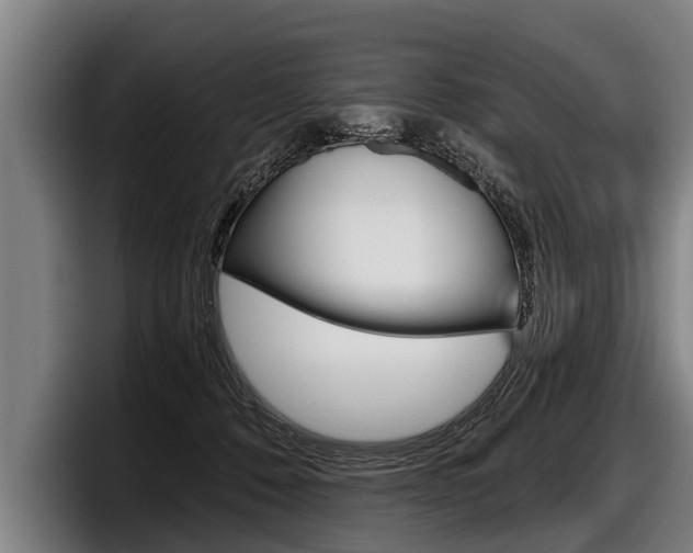 X0000098140320200804171126