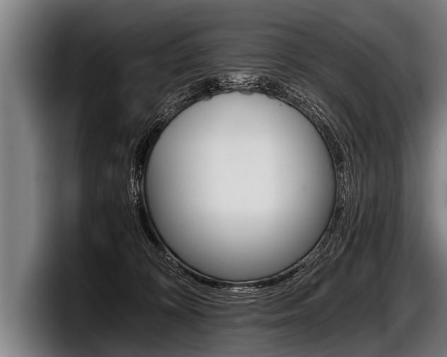 X0000098140324200804171126