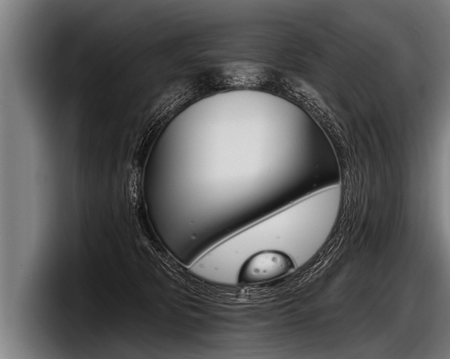 X0000098140325200804171126
