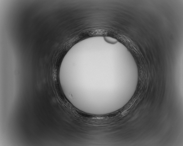 X0000098140326200804171126