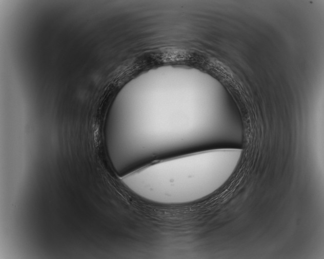 X0000098140327200804171126