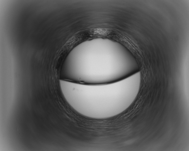 X0000098140328200804171126