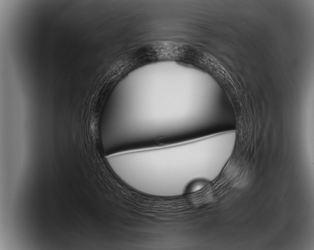 X0000098140329200804171126