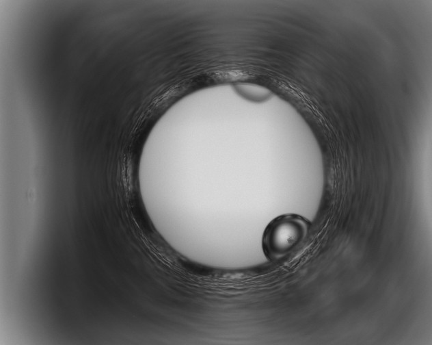 X0000098140330200804171126