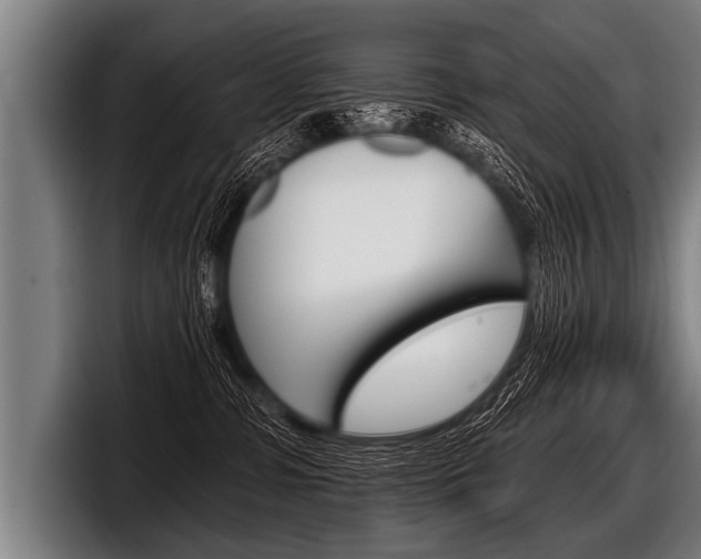 X0000098140331200804171126