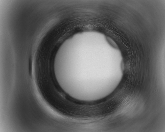 X0000098140335200804171126