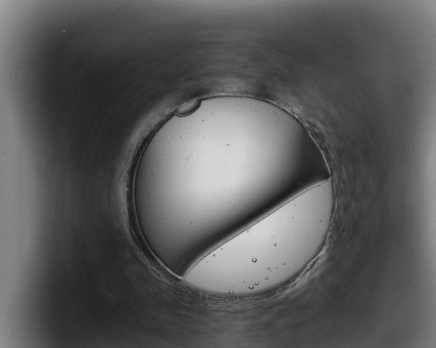 X0000098140341200804171125