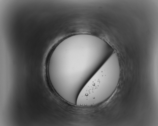 X0000098140342200804171125