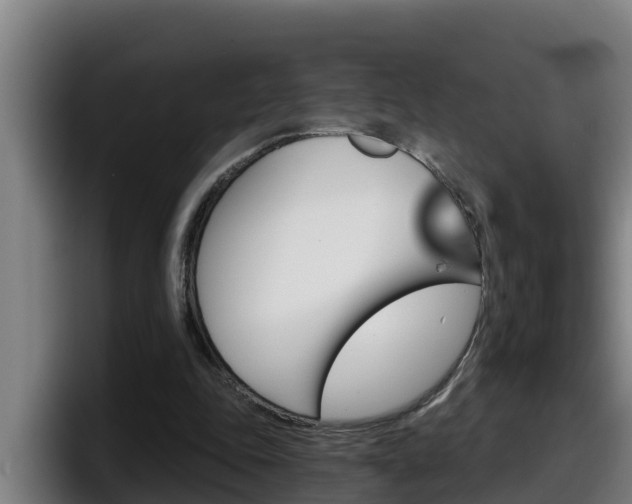 X0000098140343200804171125