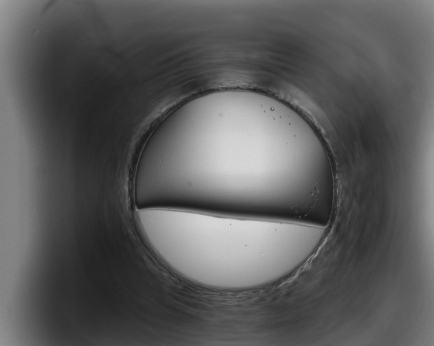 X0000098140345200804171125