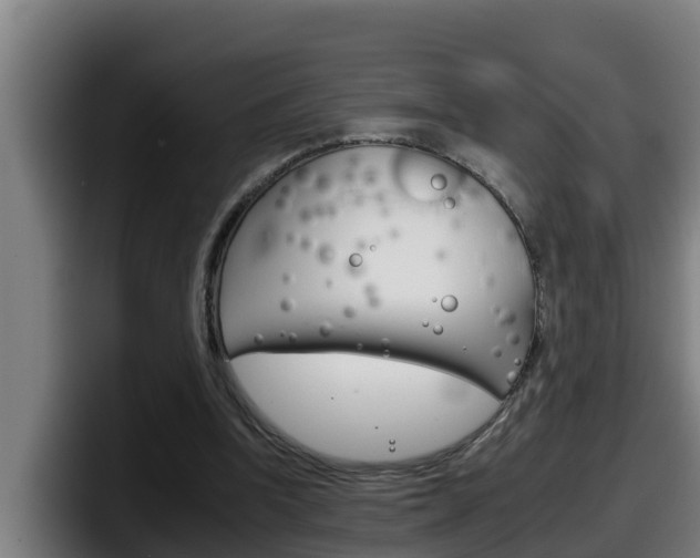 X0000098140346200804171125