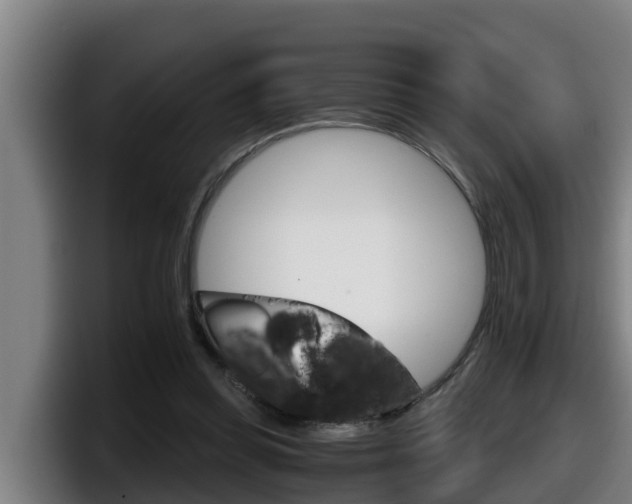 X0000098140349200804171125