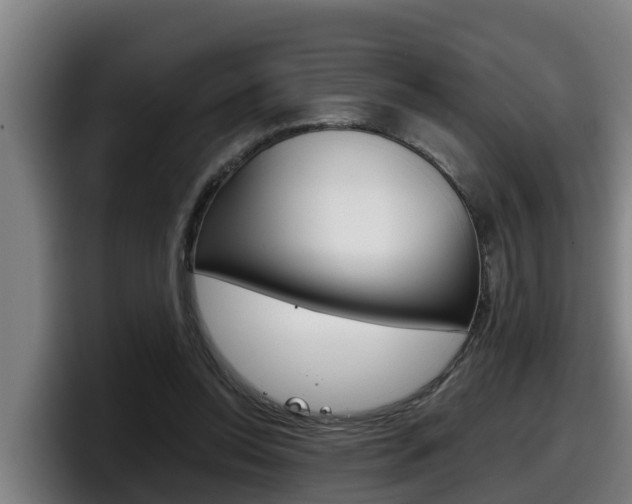 X0000098140350200804171125
