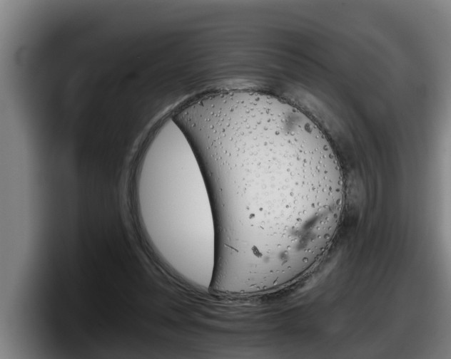 X0000098140351200804171125
