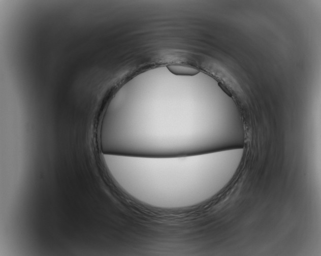 X0000098140352200804171125