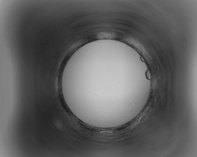 X0000098140353200804171125