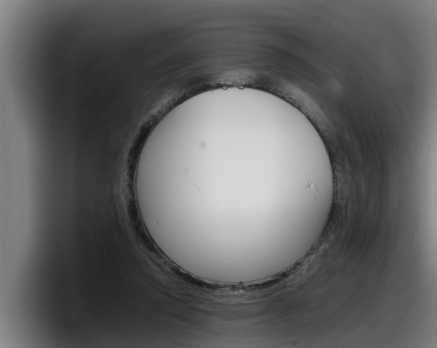 X0000098140354200804171125