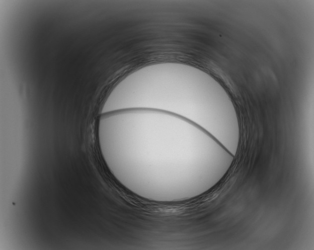 X0000098140356200804171125