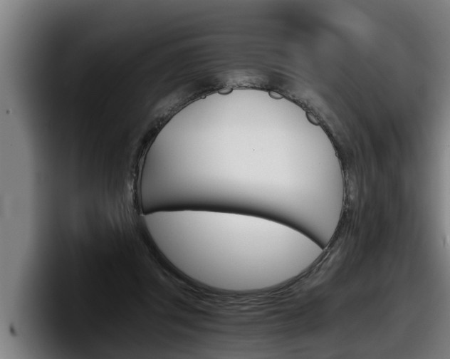 X0000098140357200804171125
