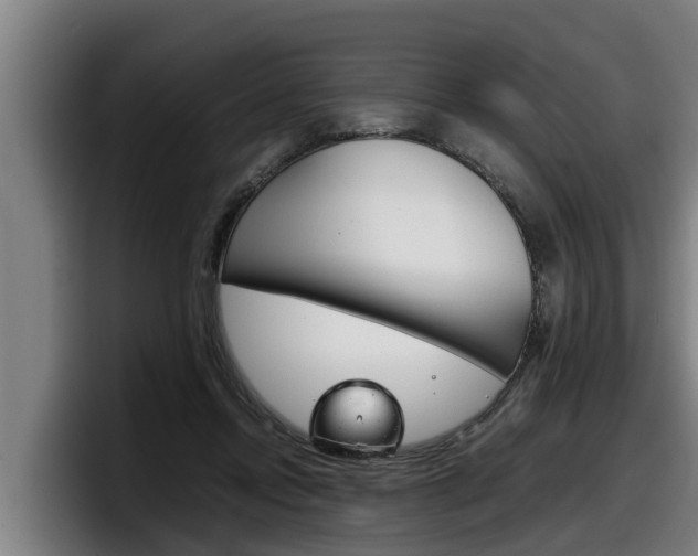 X0000098140358200804171125