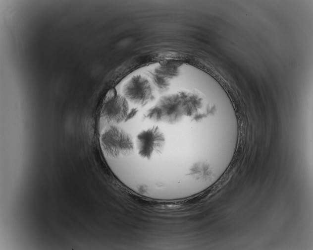 X0000098140361200804171125