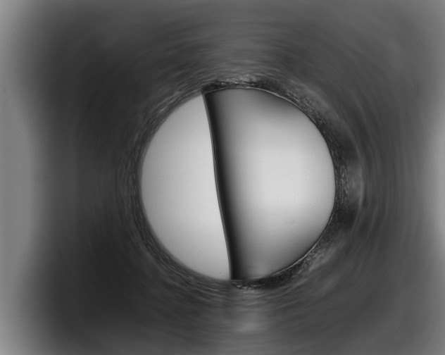 X0000098140364200804171125
