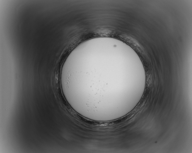 X0000098140365200804171125
