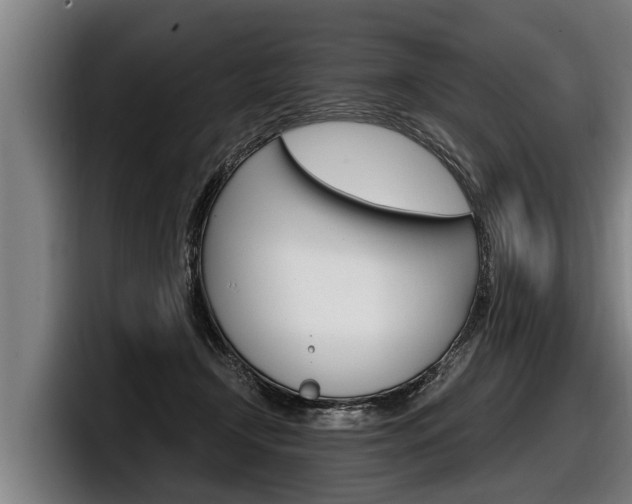 X0000098140366200804171125