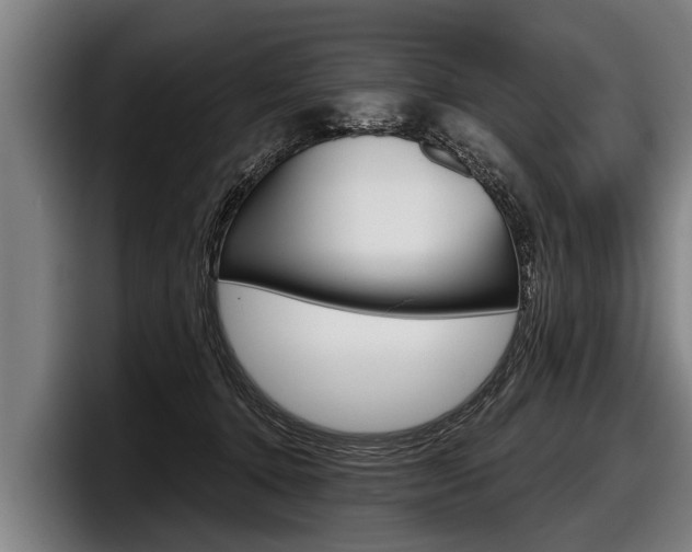 X0000098140368200804171125