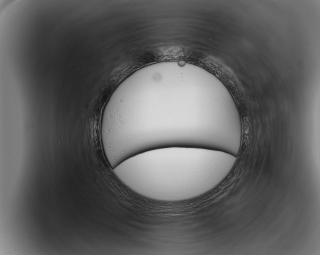 X0000098140369200804171125