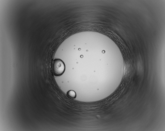 X0000098140372200804171125