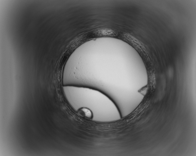 X0000098140373200804171125