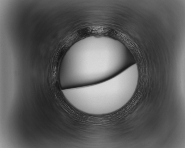 X0000098140376200804171125