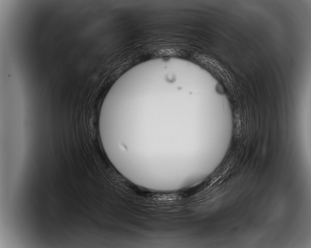 X0000098140377200804171125
