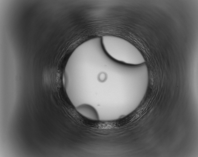 X0000098140378200804171125