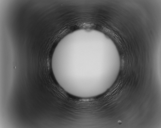 X0000098140381200804171126