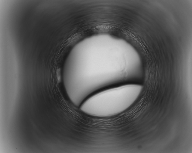 X0000098140383200804171126