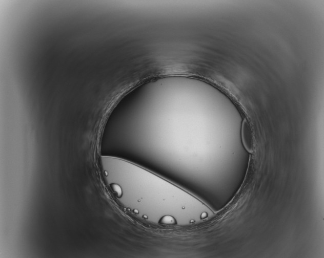 X0000098140385200804171125