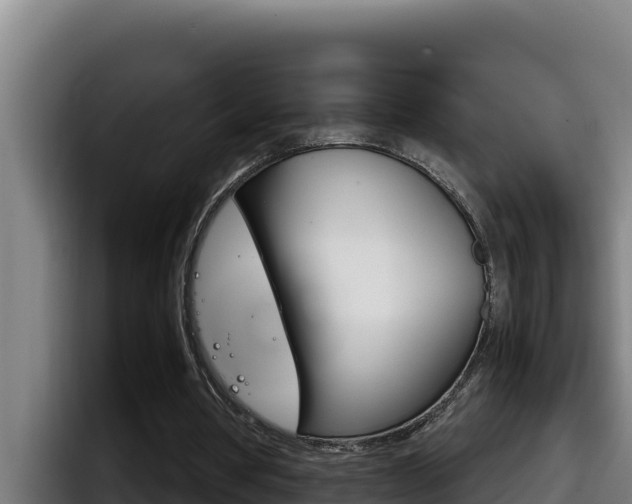 X0000098140386200804171125