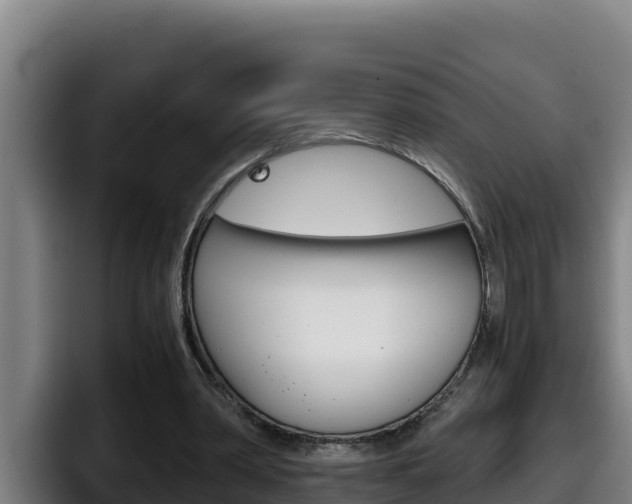 X0000098140390200804171125