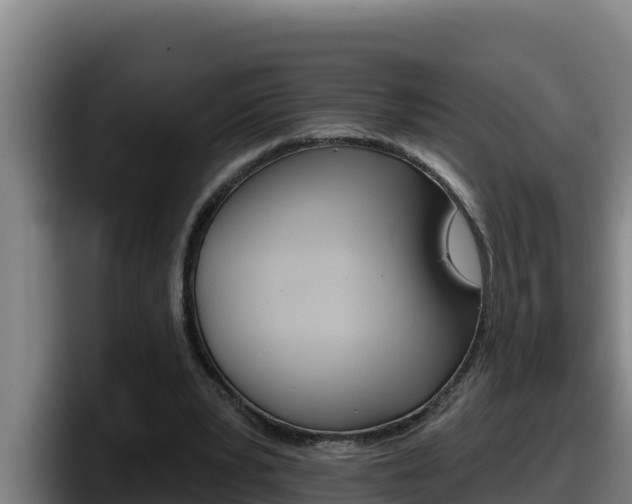 X0000098140391200804171125