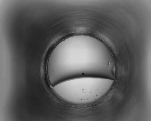 X0000098140392200804171125