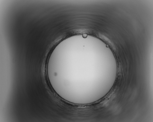 X0000098140394200804171125