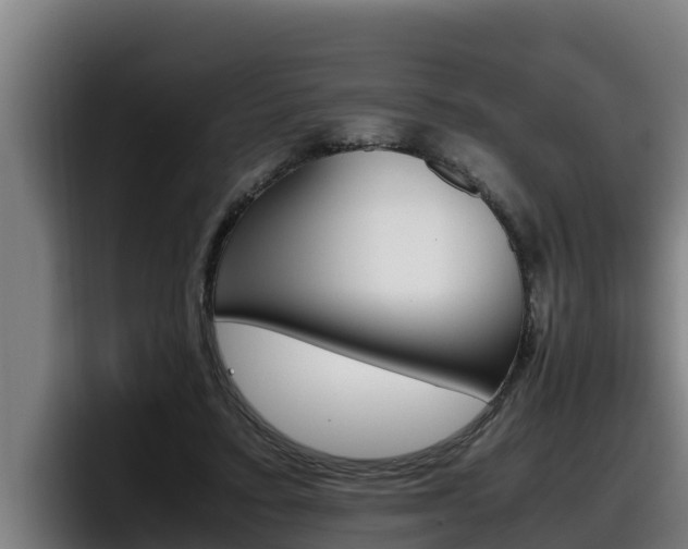 X0000098140403200804171125