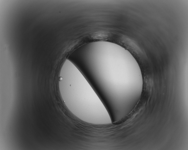 X0000098140404200804171125