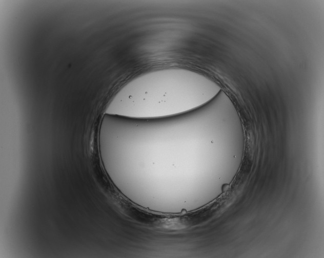 X0000098140406200804171125