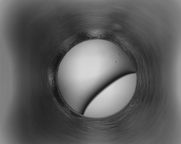 X0000098140408200804171125