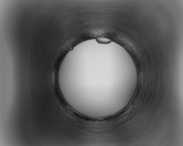 X0000098140412200804171124