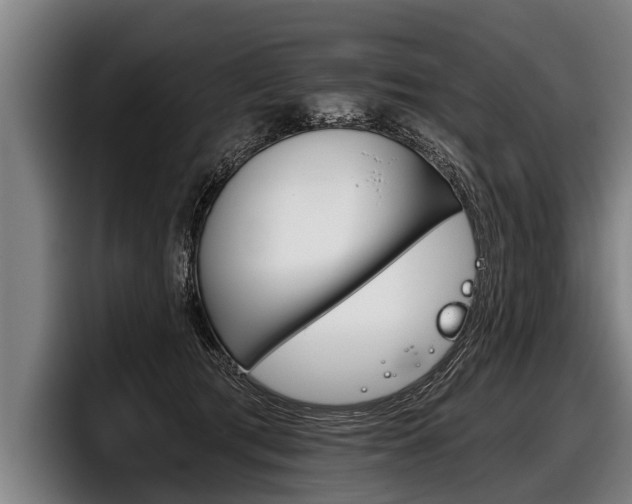 X0000098140417200804171124
